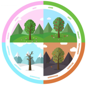 months and seasons